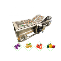 Laveuse automatique de légumes, fruits et maïs en acier inoxydable 100KG/H, machine à laver les tomates et les carottes, commerciale 380V/50HZ 10KW