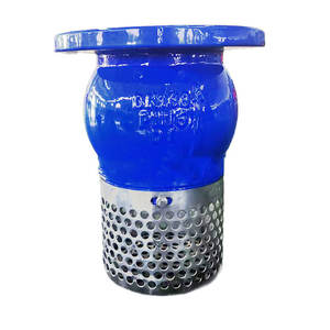 Vanne <span class=keywords><strong>à</strong></span> <span class=keywords><strong>pied</strong></span> <span class=keywords><strong>à</strong></span> commande <span class=keywords><strong>manuelle</strong></span> H42X avec filtre intégré en fonte ductile DN50-DN300 <span class=keywords><strong>à</strong></span> bride anti-retour pour <span class=keywords><strong>pompe</strong></span> <span class=keywords><strong>à</strong></span> <span class=keywords><strong>eau</strong></span> - Product Image 1