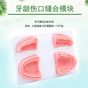 Equipo de Terapia Oral, Modelo Dental, Material Didáctico, Práctica de Sutura Gingival con Almohadilla de Piel de Silicona para Enseñanza - Product Image 2