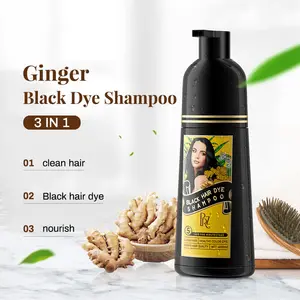 Shampoo natural para tingimento de cabelo, venda quente de shampoo natural para tingimento de cabelo