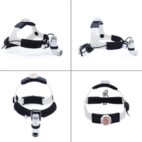 Lampe frontale médicale pour animaux et vétérinaires 3W Lampe médicale pour animaux de compagnie Phare chirurgical pour animaux domestiques Phare LED pour animaux domestiques
