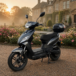 Fabricant OEM chinois, scooter électrique longue portée 48V 20Ah pour adultes, homologué EEC - Product Image 3