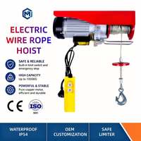 Alat Angkat Listrik Tenaga 110V 220V Kelas Industri CE, Tenang, Rem Otomatis Saat Mati Daya, Kapasitas 500 kg untuk Bengkel, Gudang, Garasi