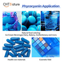 Chtnature Oem Voedingskleurstof Blauw Spirulina-Extract 100% Natuurlijk Puur Fycocyanine-Poeder