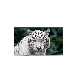 B121EW05 V2 โมดูลจอ LCD คุณภาพสูงขนาด 12.1 นิ้ว 1280*800 TFT 262K หน้าจอ LCD - Product Image 1