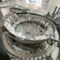 Machine de Remplissage Automatique de Pâte Liquide à Piston pour Aliments pour Bébés, Ketchup, Sauce aux Pommes, Servo Moteur