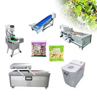 150kg/uur Fruit Salade Verwerkingsmachine Salade Was- en Snijmachine Salade Transportband Salade Waslijn