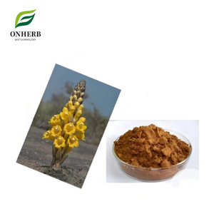 天然有機Verbascum Thapsusエキス99% ムレイン花エキス粉末100% - Product Image 1