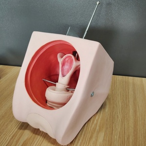 Modelo de simulador de anticoncepción femenina avanzado DARHMMY para Educación de Planificación Familiar de Ciencias Médicas - Product Image 3