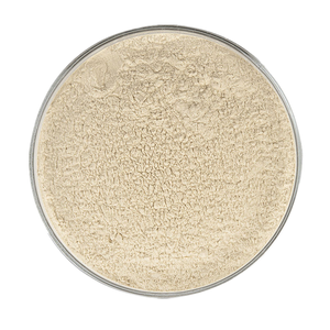 <span class=keywords><strong>Prix</strong></span> du fabricant <span class=keywords><strong>en</strong></span> vrac <span class=keywords><strong>poudre</strong></span> d'<span class=keywords><strong>amande</strong></span> extrait de plante de haute qualité <span class=keywords><strong>poudre</strong></span> de protéine d'<span class=keywords><strong>amande</strong></span> - Product Image 1