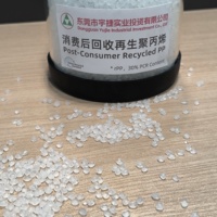 Granulés de polypropylène recyclé RPP 30GF résistant aux hautes températures, matière première plastique PP couleur personnalisée pour moulage par injection