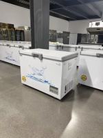Congélateur horizontal sur mesure pour supermarchés, destiné aux aliments et boissons surgelés et au stockage frigorifique