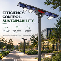 Lampadaire LED Solaire Multi-Modules avec Panneau Solaire Étendu, Non Factice, pour Éclairage de Projets Routiers Extérieurs Monté sur Poteau