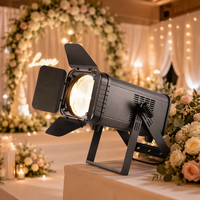 Projecteur LED RGBW à zoom réglable pour studio/vidéo/cinéma, éclairage frontal professionnel pour auditorium et scène