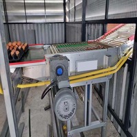 Type de cage pour poulets de chair à batterie 3 niveaux 10000