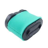 Filtre à air de haute qualité pour tondeuse autoportée MIU11515 MIU11517 792105 pour Briggs Stratton 35 D150 D155 D160 D170 E160