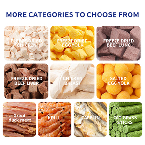 Động Vật Sao Thịt Bò Công Thức 1.5Kg Hoàn Chỉnh Khô Mèo Thực Phẩm Cho Tất Cả Các Giai Đoạn Cuộc Sống Protein Cao Da Áo Sức Khỏe Vitamin Khoáng Vật - Product Image 5
