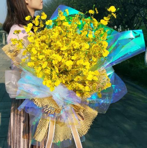 Película Dicroica de arcoíris de camaleón vibrante, plástico resistente al agua brillante, fabricación de carteles duraderos, materiales de exhibición llamativos - Product Image 3