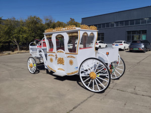 Chariot de mariage électrique à 4 roues personnalisé pour la photographie de mariage et les réceptions, chariot de chevaux le plus populaire - Product Image 6