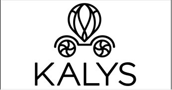 KALYS DISTRIBUTION SA logo