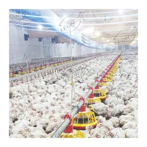 Alta Qualidade Commercial Broiler Frango Equipamento Mão e Fazenda Ferramentas para Live Stock Prefab Farm