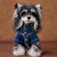 Nouvelle Collection 2026 : Veste en Jean Tendance pour Animaux – Blouson en Denim pour Chien et Vêtements pour Chat