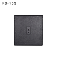 KS-15S Boîte de subwoofer professionnelle de 15 pouces avec logo personnalisé, système de sonorisation passif 600W RMS, haut-parleur de basses