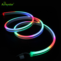 Adressable 4 en 1 12*20mm DMX512 5050 RGBW LED Neon Strip IP67 RGB protection UV Télécommande 24V Dream Color