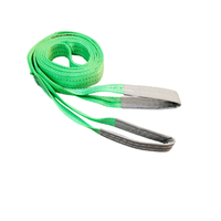 Provina 1T 2T 3T Sangle plate de levage 100% polyester haute résistance pour grue, levage industriel et powerlifting