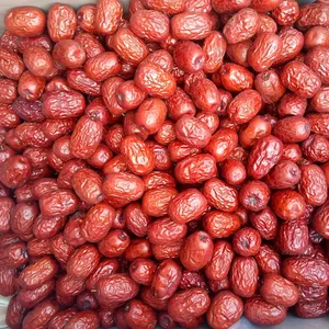 새로운 작물 중국 빨간 날짜 신선한 말린 날짜 과일 느슨한 도매