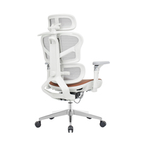 Milieu Du Dos Support Lombaire Fauteuil Visiteur Personnel De Travail Exécutif Ergonomique Chaise De Bureau