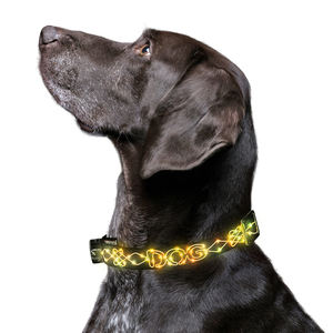 USB recargable LED luces perro <span class=keywords><strong>Collar</strong></span> noche cachorro seguro luminoso intermitente <span class=keywords><strong>collar</strong></span> poliéster suministros para mascotas - Product Image 3