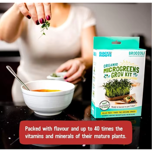 Retour à Roots 6-Grow Variety Pack DIY Microgreen Kit de culture pour <span class=keywords><strong>la</strong></span> maison et le jardin - Product Image 3