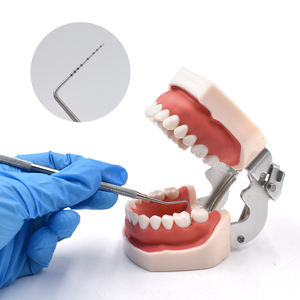 स्नातक जांच इस्पात उपकरण पैमाने 6 + 1 किट दांत गुहा सफाई उपकरण दंत जांच - Product Image 4