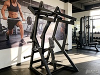 Máquina de remo montada en placa para entrenamiento de soporte de espalda, fortalecimiento de la espalda y entrenamiento seguro del músculo latissimus dorsi en gimnasios