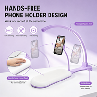 Lampe de bureau pour manucure en forme de demi-lune 3 en 1 avec repose-main, support pour téléphone, 48W, 3 modes de couleur, 6 niveaux de luminosité, OEM ODM, lumière de salon de manucure