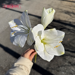 ดอกคลีเวียมินิอาตาปลอมสีขาวคุณภาพสูง DC148 พิมพ์แบบ 3 มิติ สำหรับตกแต่งบ้าน โรงแรม โต๊ะต้อนรับ - Product Image 5