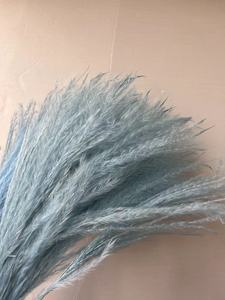 Brosse à <span class=keywords><strong>cheveux</strong></span> douce, bouquet <span class=keywords><strong>de</strong></span> <span class=keywords><strong>fleurs</strong></span> <span class=keywords><strong>séchées</strong></span>, décoration d'intérieur, Pâques, Halloween, vente en gros d'usine - Product Image 5