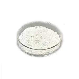 Anatase Và Rutile Titanium Dioxide / Nano Titania Bột, TiO2 Nanoparticle Với Giá Nhà Máy