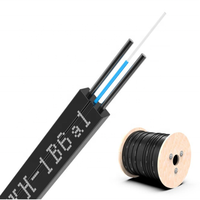 Cable de caída interior OEM Cable de fibra óptica con miembro de fuerza Cable de acero 1 2 4 8 12 núcleos Cable de fibra óptica FTTH