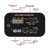 Module d'amplificateur de karaoké M120 2.0 canaux 35-85W, amplificateur de subwoofer 12V/24V/220V pour l'audio domestique et extérieur