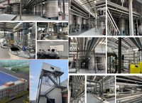 Protéine de levure fermentée de qualité supérieure à 60 % – Prix usine