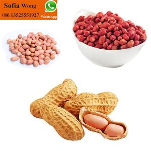 Mini máquina de <span class=keywords><strong>baobab</strong></span> prensado de aceite de canola de Alemania de acero inoxidable para el hogar - Product Image 6