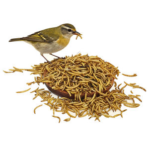 Aliments pour animaux riches en protéines en gros pour les chats et les fermes d'élevage de poissons 100% naturels vers de farine jaunes séchés - Product Image 2