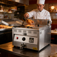 Friteuse électrique professionnelle de cuisine commerciale 21L en acier inoxydable de comptoir à haute efficacité pour les frites