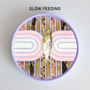 מזין סיליקון קשת כפולה הזנה איטית לכלבים מדיח כלים בטוח גדול לחיות מחמד כרית כף מזון איטי הגשה קערת - Product Image 3