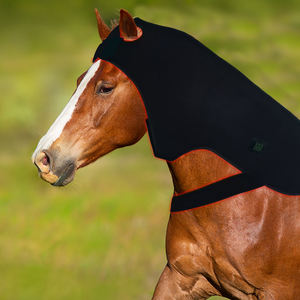 Tierphysiotherapie NIR-Infrarotlicht Niederfrequenztherapie Rotlicht für Pferde für den Pferdekopf - Product Image 4