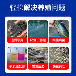 Comprimés de peroxyde d'hydrogène solide Chongyufeng 50 pièces pour l'oxygénation et la purification de l'eau des étangs aquacoles - Product Image 4