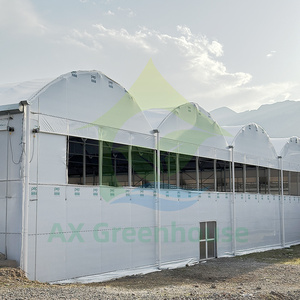 Estructura de Invernadero de Alta Calidad para Cultivo de Caracoles con Sistema Hidropónico, Venta al Por Mayor Global - Product Image 6