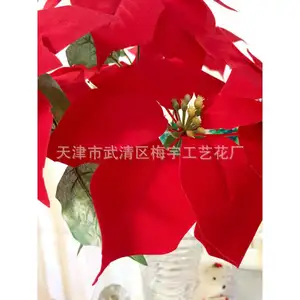 Il produttore fornisce cinque teste e sette teste: disposizione per la decorazione della casa di fiori magenta